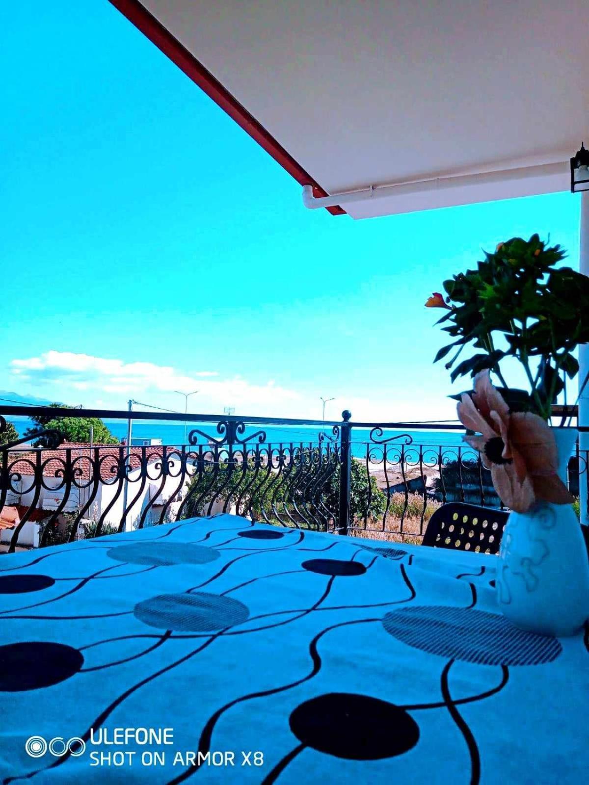 Villa Camellia 브래스나 외부 사진